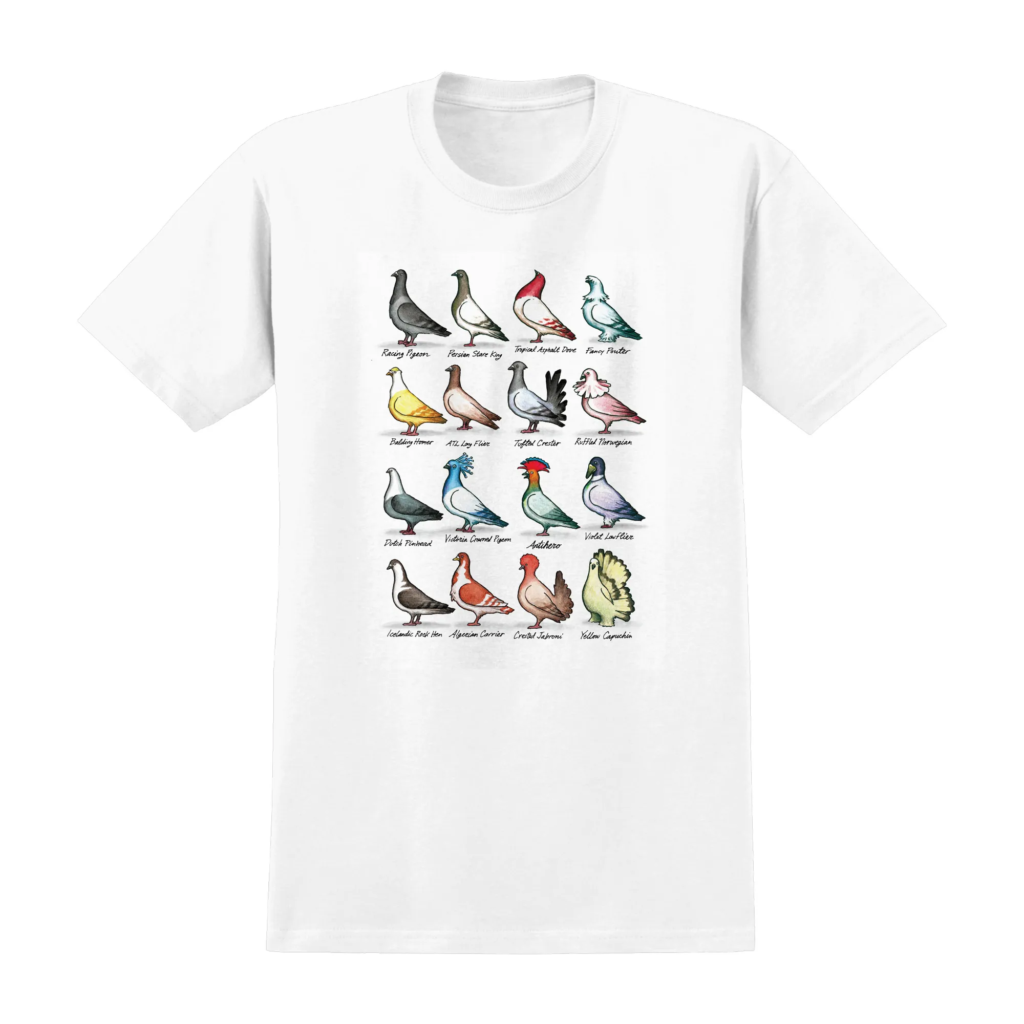 ANTI HERO SHOW PIGEONS TEE WHITE