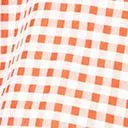 Plus Size 1950s Rust Red & White Gingham Caterina Swing Dress